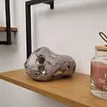 בית נופש Rehblick - Direkt In Der Natur, Mit Lesezimmer Und Zwei Terrassen *