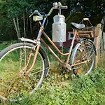 Rehblick - Direkt In Der Natur, Mit Lesezimmer Und Zwei Terrassen פרידריכרודה