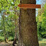 Rehblick - Direkt In Der Natur, Mit Lesezimmer Und Zwei Terrassen