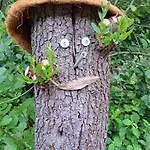 Rehblick - Direkt In Der Natur, Mit Lesezimmer Und Zwei Terrassen * Friedrichroda