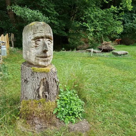 Rehblick - Direkt In Der Natur, Mit Lesezimmer Und Zwei Terrassen フリードリッヒローダ
