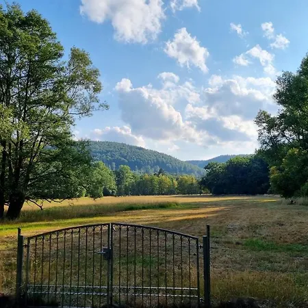 Rehblick - Direkt In Der Natur, Mit Lesezimmer Und Zwei Terrassen * Friedrichroda