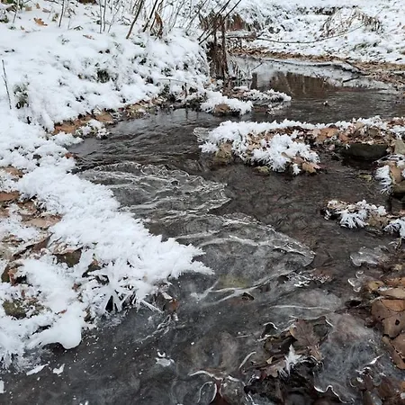 בית נופש Rehblick - Direkt In Der Natur, Mit Lesezimmer Und Zwei Terrassen פרידריכרודה