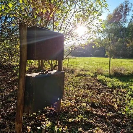 Rehblick - Direkt In Der Natur, Mit Lesezimmer Und Zwei Terrassen פרידריכרודה