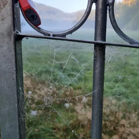 Сasa de vacaciones Rehblick - Direkt In Der Natur, Mit Lesezimmer Und Zwei Terrassen