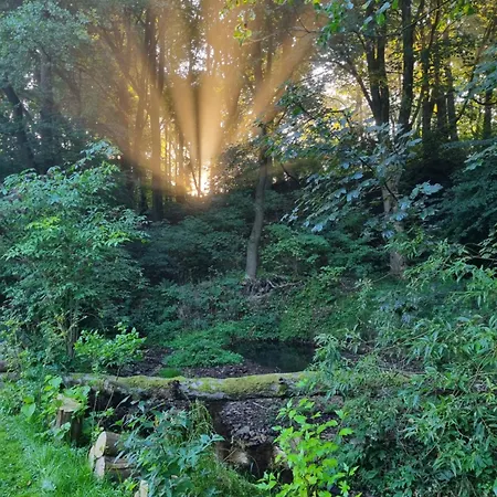 Rehblick - Direkt In Der Natur, Mit Lesezimmer Und Zwei Terrassen * פרידריכרודה