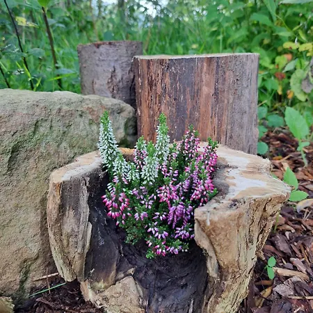 Rehblick - Direkt In Der Natur, Mit Lesezimmer Und Zwei Terrassen Friedrichroda