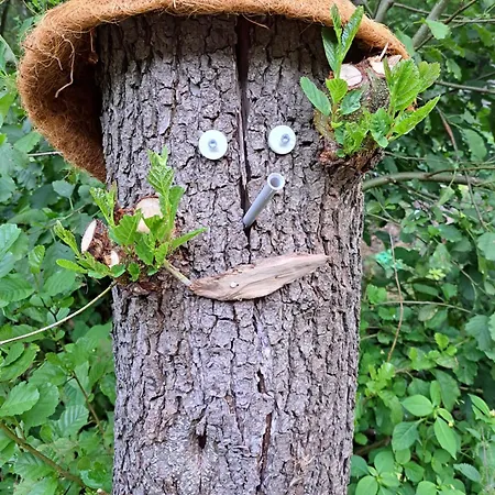Rehblick - Direkt In Der Natur, Mit Lesezimmer Und Zwei Terrassen * פרידריכרודה