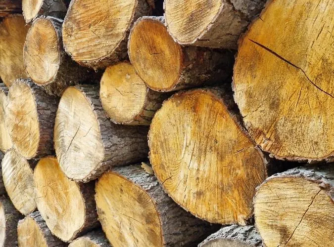 Rehblick - Direkt In Der Natur, Mit Lesezimmer Und Zwei Terrassen