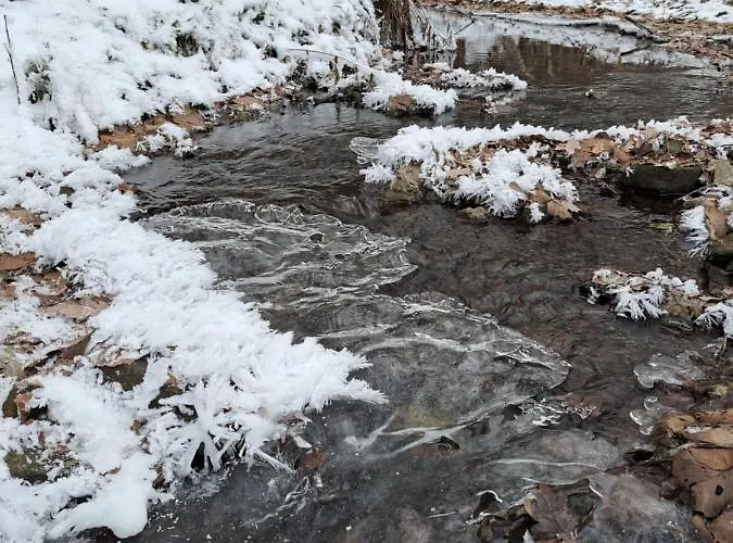 בית נופש Rehblick - Direkt In Der Natur, Mit Lesezimmer Und Zwei Terrassen פרידריכרודה