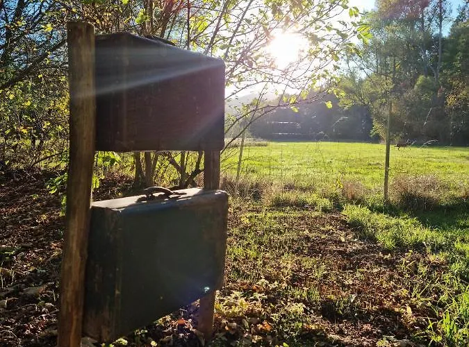 Rehblick - Direkt In Der Natur, Mit Lesezimmer Und Zwei Terrassen Фридрихрода