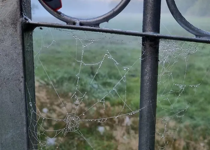 בית נופש Rehblick - Direkt In Der Natur, Mit Lesezimmer Und Zwei Terrassen