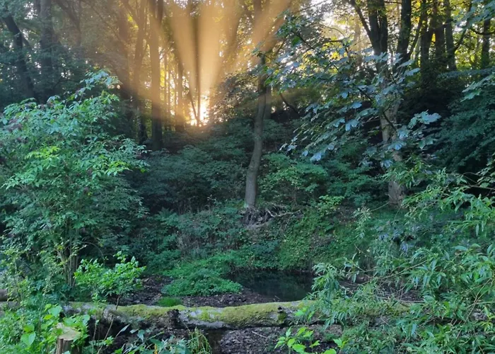 Rehblick - Direkt In Der Natur, Mit Lesezimmer Und Zwei Terrassen * Фридрихрода
