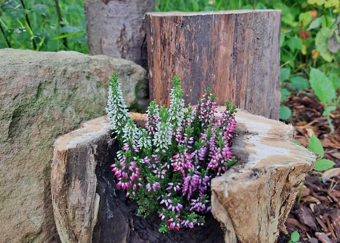 Rehblick - Direkt In Der Natur, Mit Lesezimmer Und Zwei Terrassen פרידריכרודה