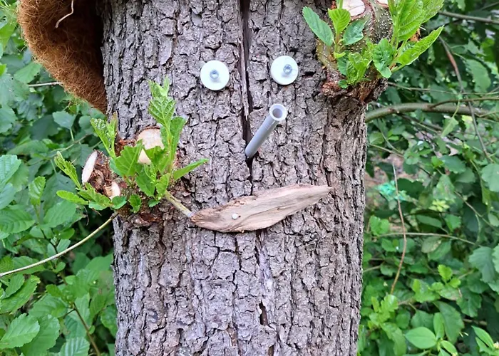 Rehblick - Direkt In Der Natur, Mit Lesezimmer Und Zwei Terrassen * פרידריכרודה